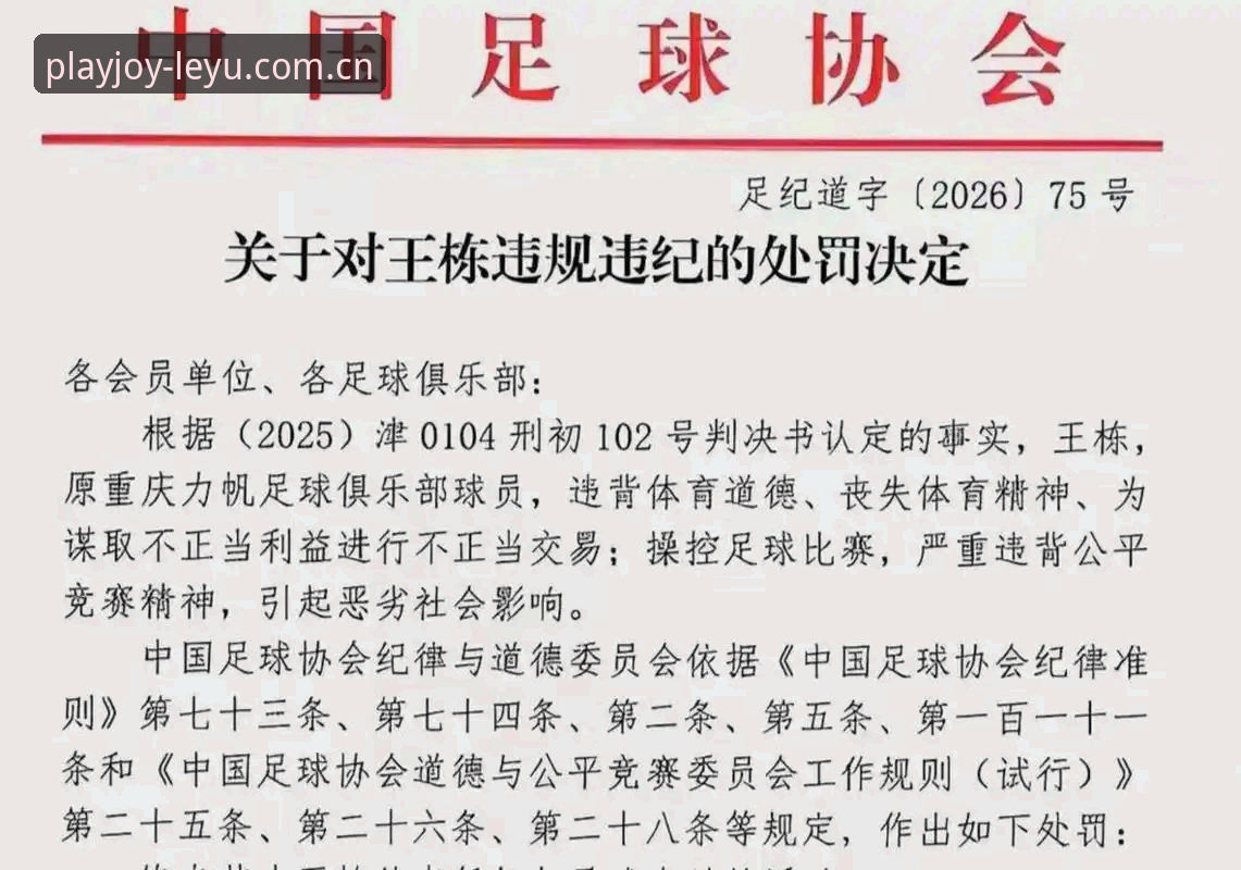 足协第三批禁足名单解析：从17人终身禁赛看中国足球整治的5个关键细节